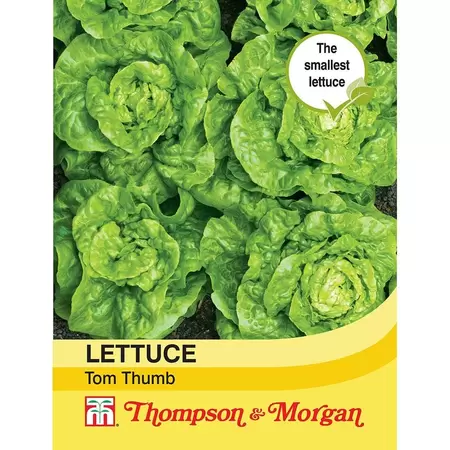 Lettuce Tom Thumb