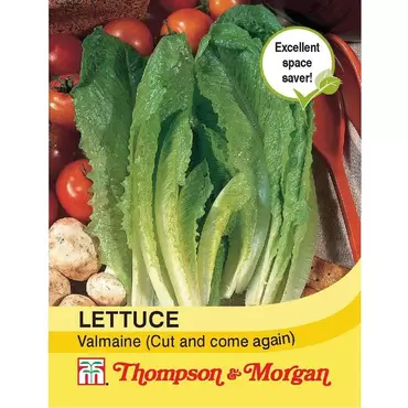Lettuce Valmaine (Cut and Come Again)