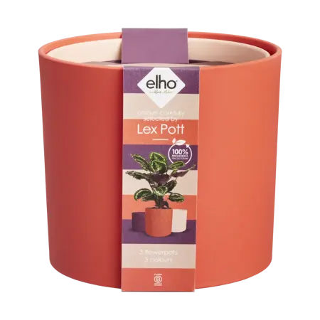 Lex Pott Set Red 14cm - image 3
