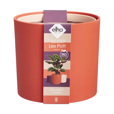 Lex Pott Set Red 14cm - image 3