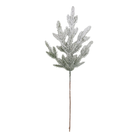 Lightly Frosted Green Bristle Stem 67cm