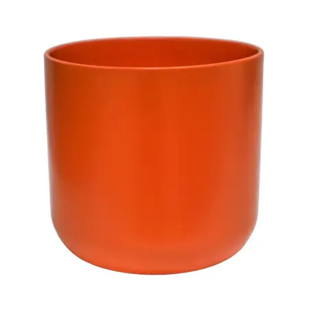 Lisbon Coral H15cm D15cm - image 1