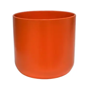 Lisbon Coral H18.5cm D18.5cm - image 1
