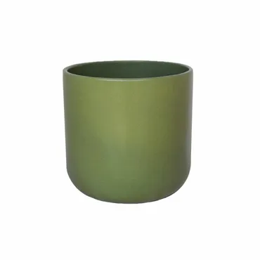 Lisbon Olive H20.5cm D20.5cm