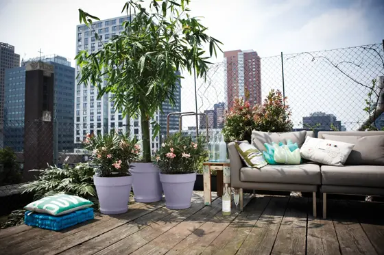 Loft Saucer Round 17 - image 3