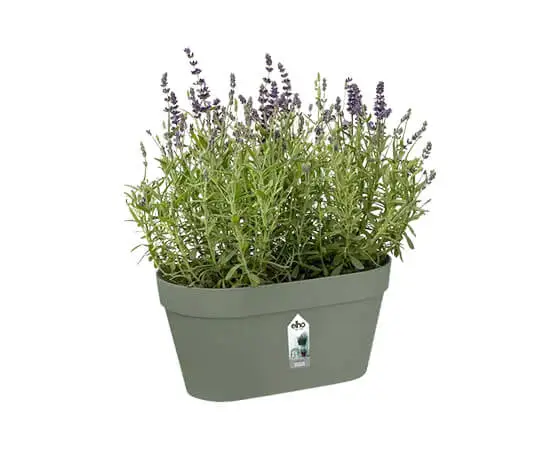 Loft Urban Green Wall Duo 28cm (Pistachio Green) - image 2