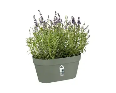 Loft Urban Green Wall Duo 28cm (Pistachio Green) - image 2
