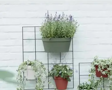 Loft Urban Green Wall Duo 28cm (Pistachio Green) - image 3