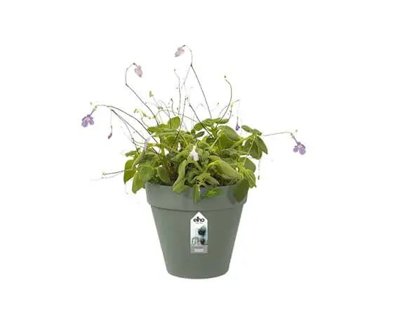 Loft Urban Green Wall Single 15cm (Pistachio Green) - image 2