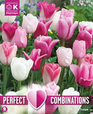 Lovely Combinations Pink & White Tulip Bulb Mix
