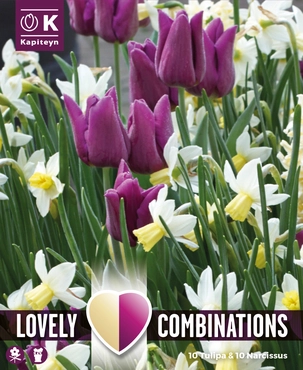 Lovely Combinations Purple Tulip & White Narcissus Bulb Mix