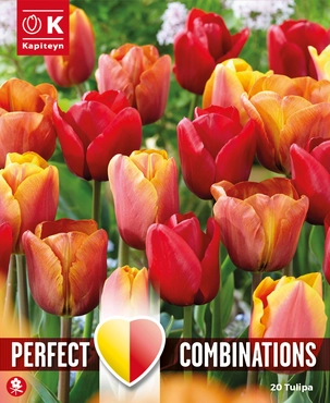 Lovely Combinations Red, Orange & Yellow Tulip Bulb Mix