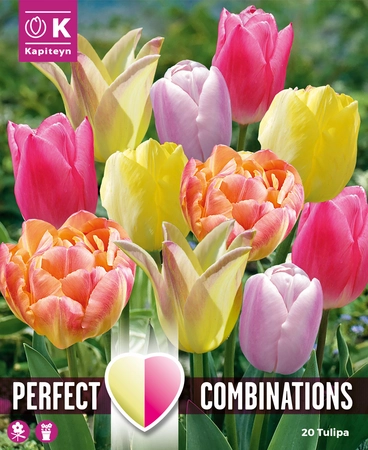 Lovely Combinations Soft Tones Tulip Bulb Mix