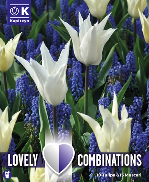 Lovely Combinations White Tulip & Blue Muscari Bulb Mix
