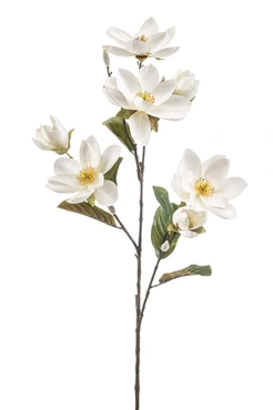 Magnolia Spray Cream 95cm