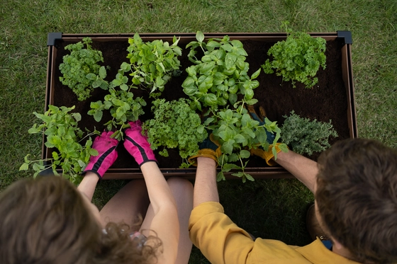 Maple Rectangular Garden Bed - image 4