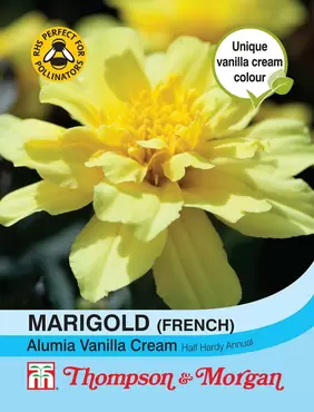 Marigold Alumia Vanilla Cream (French)