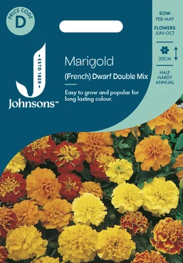Marigold (French) Dwarf Double Mix - image 1