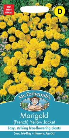 Marigold (French) Yellow Jacket - image 1