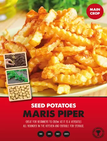 Maris Piper Seed Potato