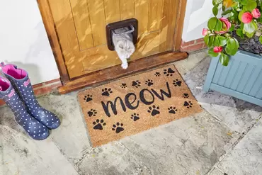 Meow Décoir Insert - image 2