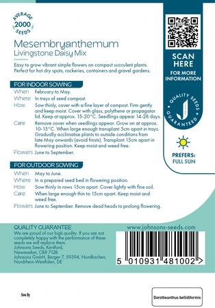Mesembryanthemum Livingstone Daisy Mix - image 2