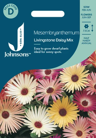 Mesembryanthemum Livingstone Daisy Mix - image 1