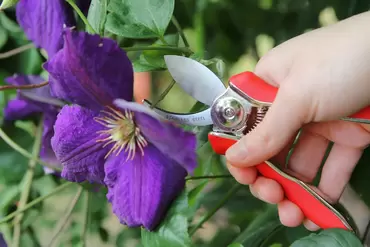 Mini Bypass Pruner - image 2