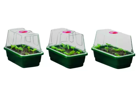 MINI HIGH DOME PROPAGATOR (SET OF 3) WITH HOLES