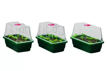 MINI HIGH DOME PROPAGATOR (SET OF 3) WITH HOLES