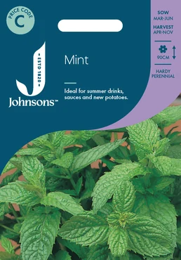 Mint - image 1