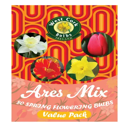 Mix Flower Bulbs 'Ares' 60 Bulbs Bag