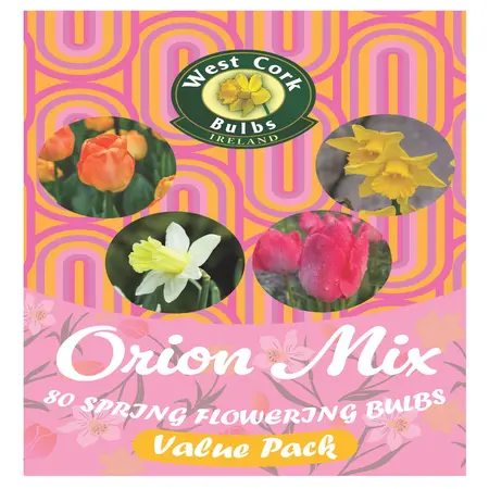 Mix Flower Bulbs 'Orion' 60 Bulbs Bag
