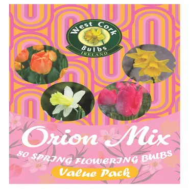 Mix Flower Bulbs 'Orion' 60 Bulbs Bag