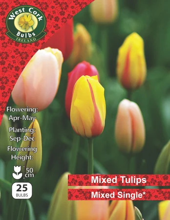 Mixed Single Tulips 25 Bulb Net