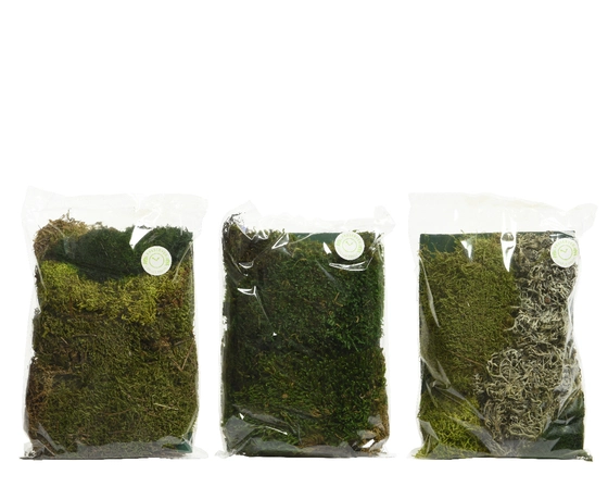 Moss Natural 3ass