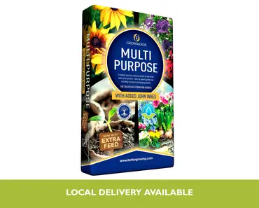 Multi Purpose Compost with John Innes 20L