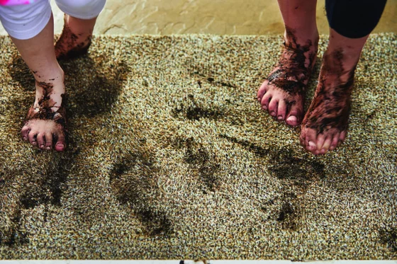 My Mat Cotton Indoor Linen 50x150 - image 2