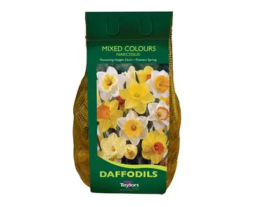 Narcissi Mixed Carri-Pack