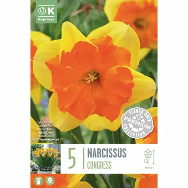 Narcissus - Congress