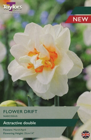 Narcissus Flower Drift 12-14