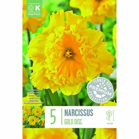Narcissus - Gold Disc