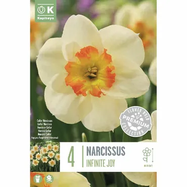 Narcissus - Infinite Joy