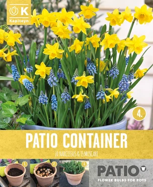 Narcissus & Muscari Patio Collection