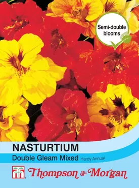 Nasturtium Double Gleam Mixed