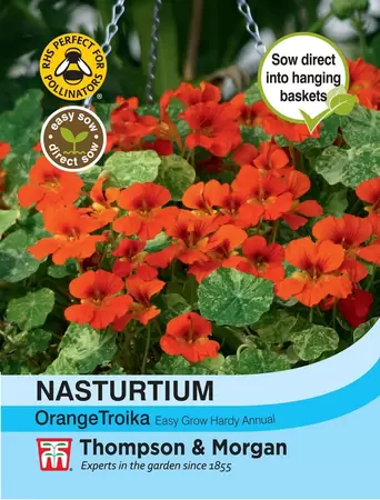 Nasturtium Orange Troika