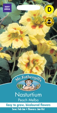 Nasturtium Peach Melba - image 1
