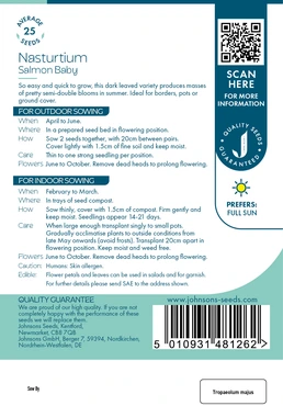 Nasturtium Salmon Baby - image 2