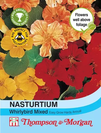 Nasturtium Whirlybird Mixed