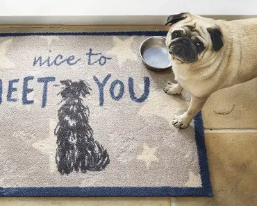 Hug Rug Nice to Meet You 65cm x 85cm - image 3